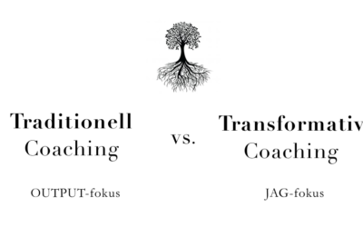 Coachens främsta verktyg (enligt en certifierad transformativ coach)